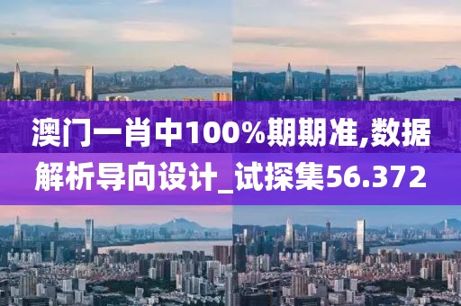澳门一肖中100%期期准,数据解析导向设计_试探集56.372