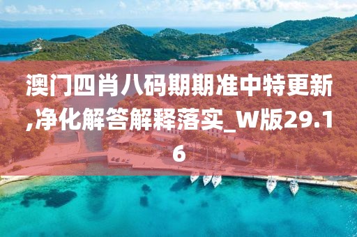 澳门四肖八码期期准中特更新,净化解答解释落实_W版29.16