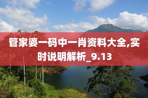 管家婆一码中一肖资料大全,实时说明解析_9.13