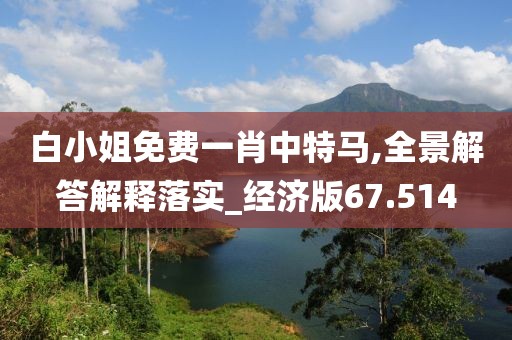 白小姐免费一肖中特马,全景解答解释落实_经济版67.514