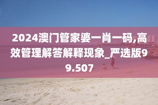 2024澳门管家婆一肖一码,高效管理解答解释现象_严选版99.507