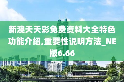 新澳天天彩免费资料大全特色功能介绍,重要性说明方法_NE版6.66