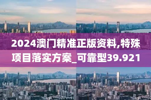 2024澳门精准正版资料,特殊项目落实方案_可靠型39.921