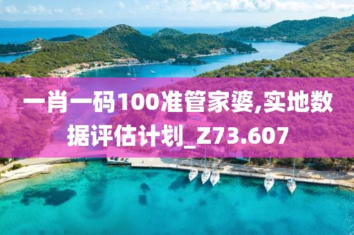 一肖一码100准管家婆,实地数据评估计划_Z73.607