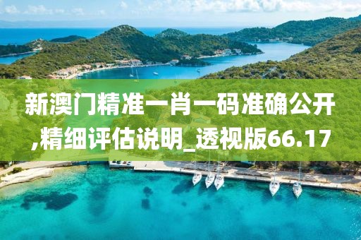 新澳门精准一肖一码准确公开,精细评估说明_透视版66.17