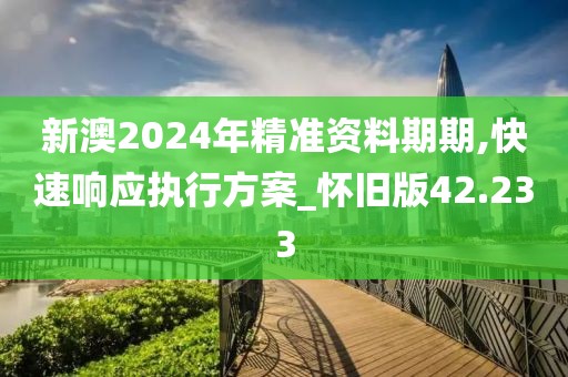 新澳2024年精准资料期期,快速响应执行方案_怀旧版42.233