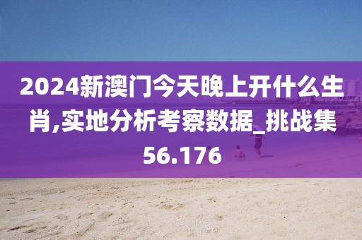 2024新澳门今天晚上开什么生肖,实地分析考察数据_挑战集56.176