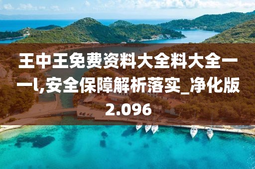 王中王免费资料大全料大全一一l,安全保障解析落实_净化版2.096