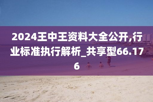 2024王中王资料大全公开,行业标准执行解析_共享型66.176