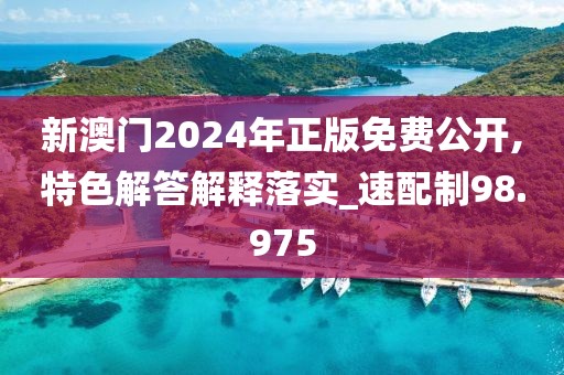 新澳门2024年正版免费公开,特色解答解释落实_速配制98.975