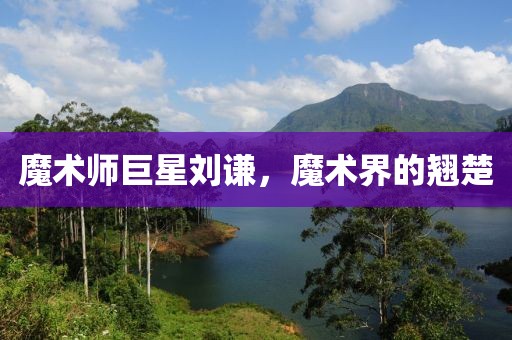 魔术师巨星刘谦，魔术界的翘楚