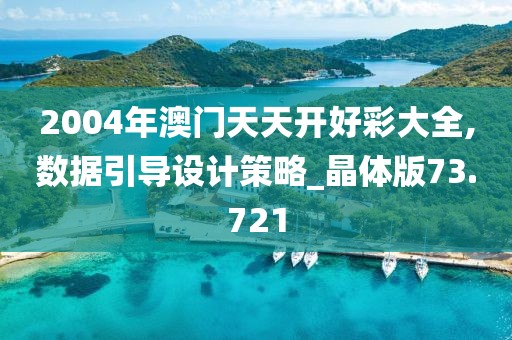 2004年澳门天天开好彩大全,数据引导设计策略_晶体版73.721