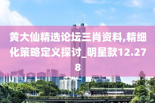 黄大仙精选论坛三肖资料,精细化策略定义探讨_明星款12.278