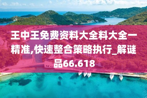 王中王免费资料大全料大全一精准,快速整合策略执行_解谜品66.618