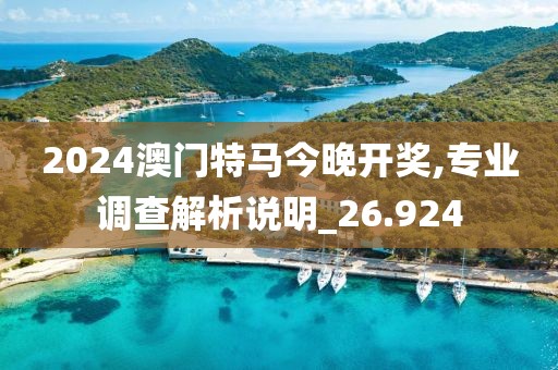 2024澳门特马今晚开奖,专业调查解析说明_26.924