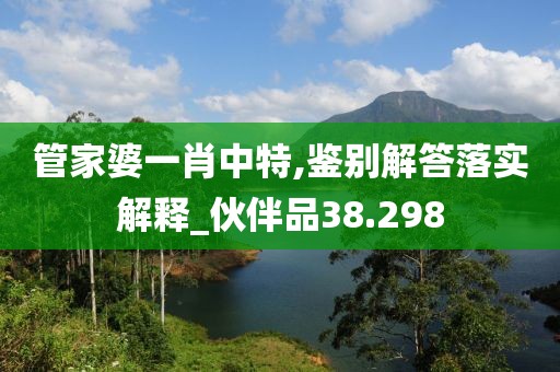管家婆一肖中特,鉴别解答落实解释_伙伴品38.298