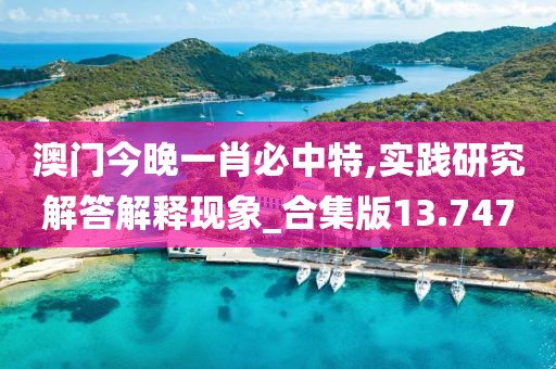 澳门今晚一肖必中特,实践研究解答解释现象_合集版13.747