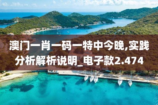 澳门一肖一码一特中今晚,实践分析解析说明_电子款2.474