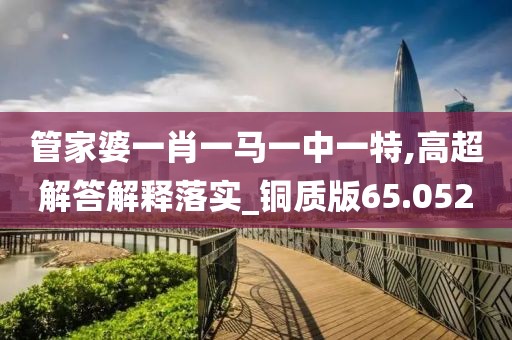 管家婆一肖一马一中一特,高超解答解释落实_铜质版65.052