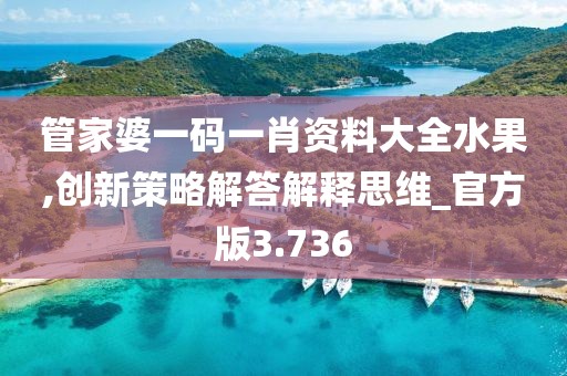 管家婆一码一肖资料大全水果,创新策略解答解释思维_官方版3.736