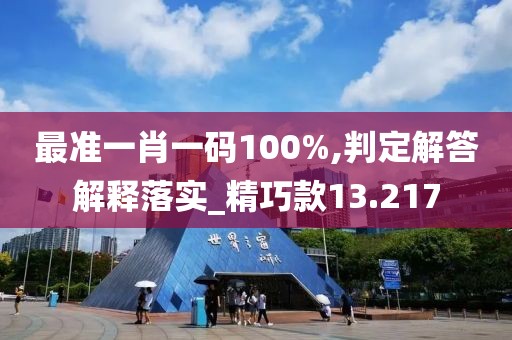 最准一肖一码100%,判定解答解释落实_精巧款13.217
