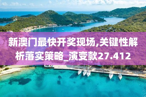 新澳门最快开奖现场,关键性解析落实策略_演变款27.412