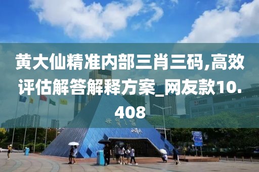 黄大仙精准内部三肖三码,高效评估解答解释方案_网友款10.408
