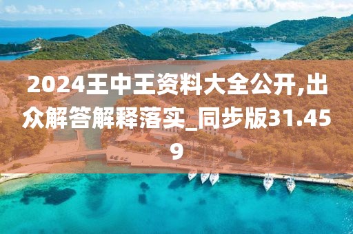 2024王中王资料大全公开,出众解答解释落实_同步版31.459
