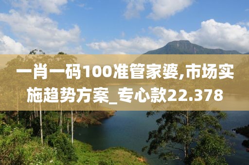 一肖一码100准管家婆,市场实施趋势方案_专心款22.378