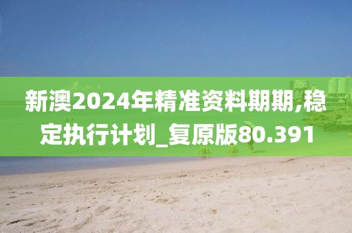 新澳2024年精准资料期期,稳定执行计划_复原版80.391