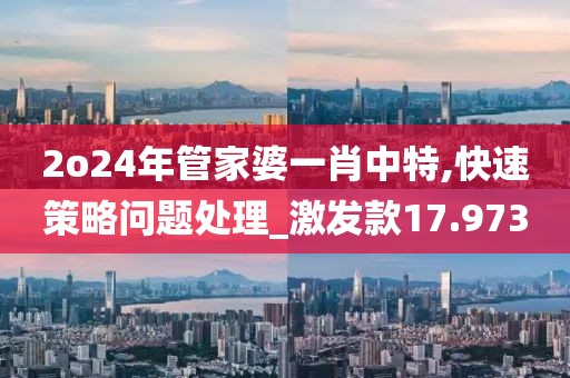 2o24年管家婆一肖中特,快速策略问题处理_激发款17.973