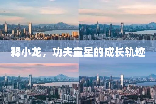 释小龙，功夫童星的成长轨迹