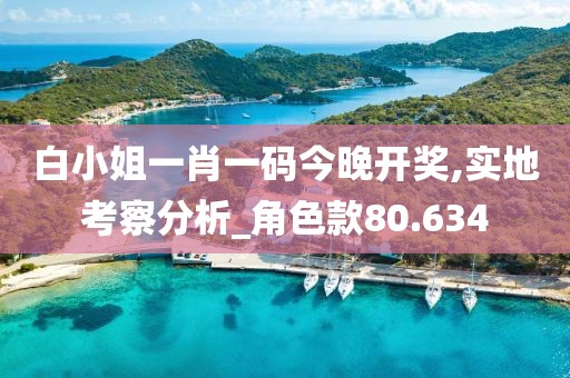 白小姐一肖一码今晚开奖,实地考察分析_角色款80.634