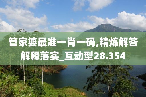 管家婆最准一肖一码,精炼解答解释落实_互动型28.354
