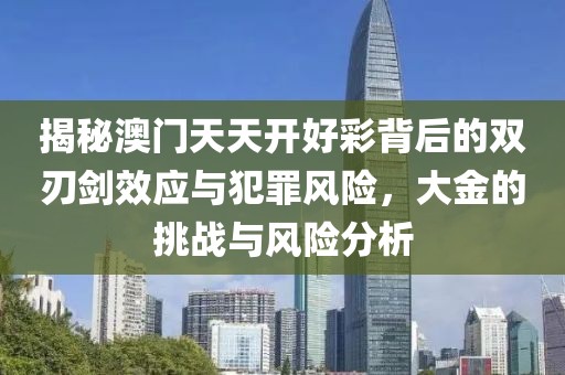 揭秘澳门天天开好彩背后的双刃剑效应与犯罪风险，大金的挑战与风险分析