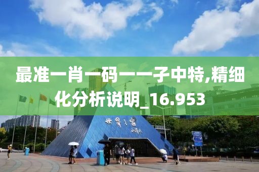 最准一肖一码一一孑中特,精细化分析说明_16.953
