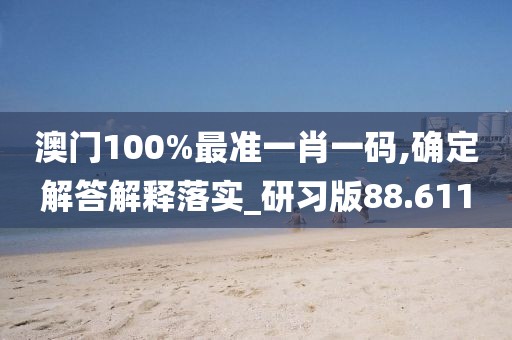 澳门100%最准一肖一码,确定解答解释落实_研习版88.611