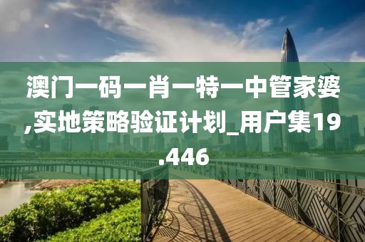 澳门一码一肖一特一中管家婆,实地策略验证计划_用户集19.446