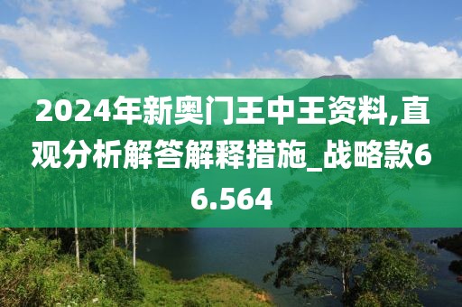 2024年新奥门王中王资料,直观分析解答解释措施_战略款66.564