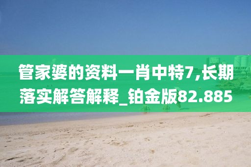 管家婆的资料一肖中特7,长期落实解答解释_铂金版82.885