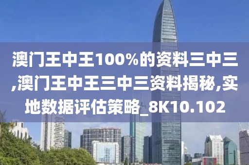 澳门王中王100%的资料三中三,澳门王中王三中三资料揭秘,实地数据评估策略_8K10.102