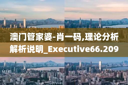 澳门管家婆-肖一码,理论分析解析说明_Executive66.209