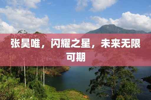 张昊唯，闪耀之星，未来无限可期