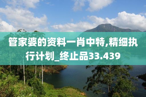管家婆的资料一肖中特,精细执行计划_终止品33.439