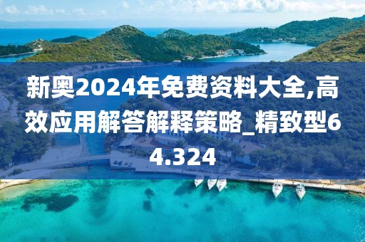 新奥2024年免费资料大全,高效应用解答解释策略_精致型64.324