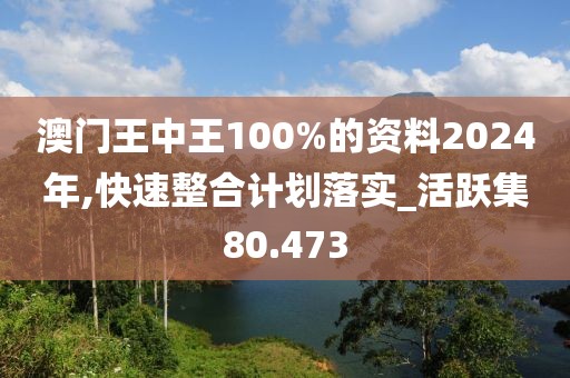 澳门王中王100%的资料2024年,快速整合计划落实_活跃集80.473