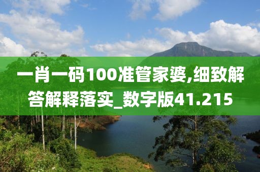 一肖一码100准管家婆,细致解答解释落实_数字版41.215