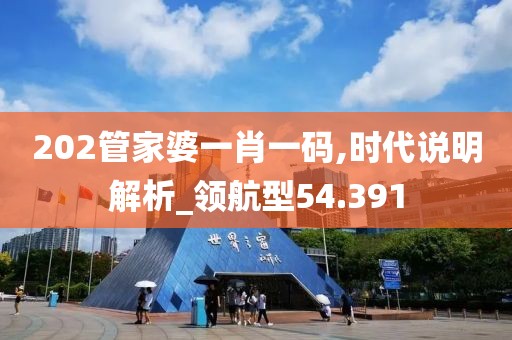 202管家婆一肖一码,时代说明解析_领航型54.391