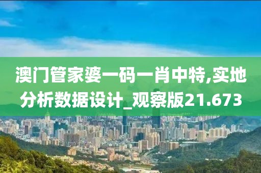 澳门管家婆一码一肖中特,实地分析数据设计_观察版21.673