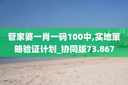 管家婆一肖一码100中,实地策略验证计划_协同版73.867